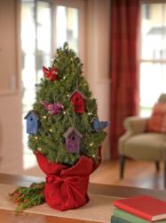 Tabletop Spruce Tree